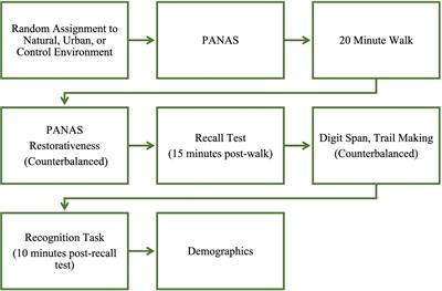 Walking in nature may improve affect but not cognition